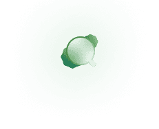 Vector